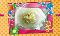 play Picture Frame Decorator