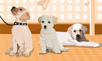 play Puppies Galore Dress Up