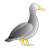 play Duck Jigsaw