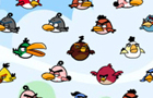 play Couple Birds