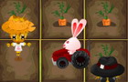 play Bunny On Farm