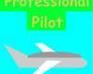 play Professional Pilot