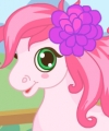 play Pony Care