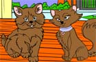play Pet World