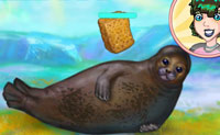 play Sealy Seal