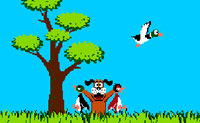 play Duck Hunt Fl