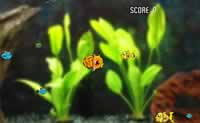 play Robo Fish