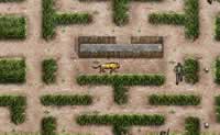 play Tiger Pacman