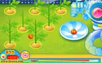 play Tomato Icecream Factory