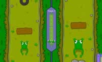 play Frog Race