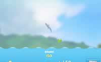 play Dolphin Olympics 2