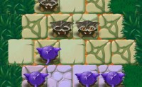 play Troglodytes