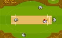 play Cricket