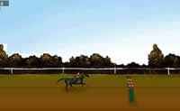 Horse Jumping