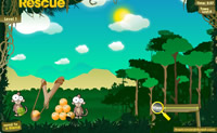 play Rainforest Rescue