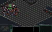 play Starcraft Flash Rpg