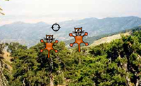 play Clay Kitten Shooting