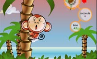 play Cocoon Island