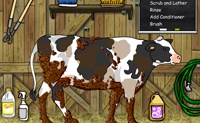 play Blue Ribbon Bash
