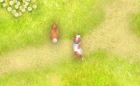 play Pop Top Pups