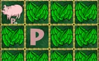 play Alpha Zoo
