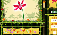 play Copy