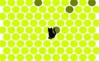 play Chat Noir
