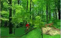 play Mountain Bike