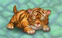 play My Baby Tiger
