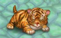 play My Baby Tiger