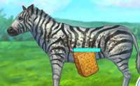 play Zebra Cleaning