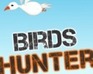 play Flying Birds Hunter