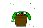 play Cactus Mania