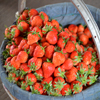 play Jigsaw: Strawberry Basket