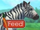 play Feed Zebra