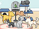 play Pet Daycare Decoration