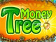 Money Tree