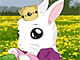 play Baby Bunny Dress Up