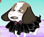 play Pet Dressup 12