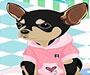 play Pet Dressup 11