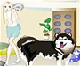 play Pet Dressup 9