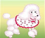 play Pet Dressup 3