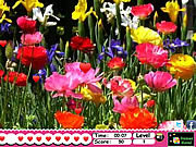 play Secret Valentines Hearts
