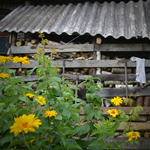 play Garden Door