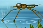 play Water Strider