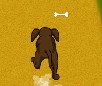 play Dog Dash Picture