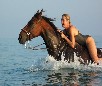 play Swimming With Horses