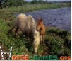 play Wild Ponies Jigsaw