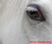 play Eye Of The White Horse