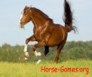 play Chestnut Stallion Rodeo Jigsaw Puzzle